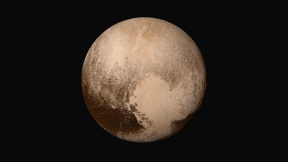 Buff and rust-coloured globe with a large pale heart-shaped plain below centre
